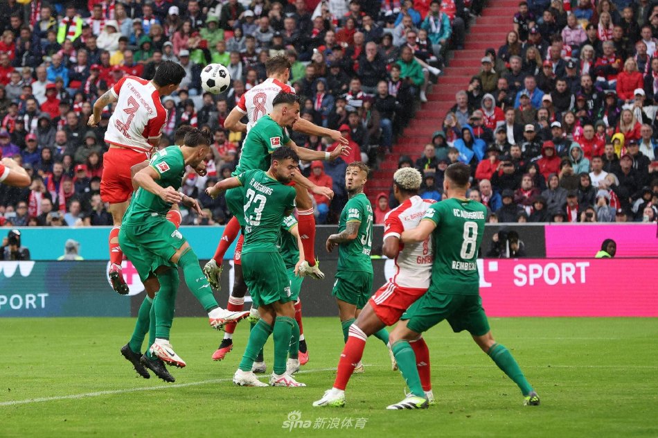 的中国乒乓 的中国乒乓